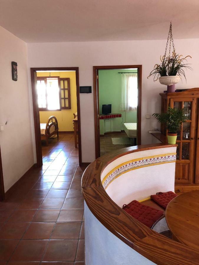 Palmeras Ingenio Kültér fotó